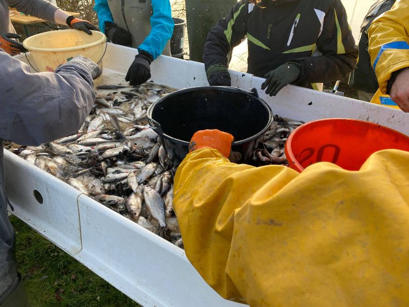 Pêche d'étang en Brenne ©Destination Brenne