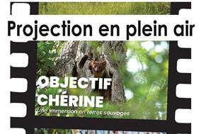 20-08ProjectionObjectifCherineSAINTMICHEL