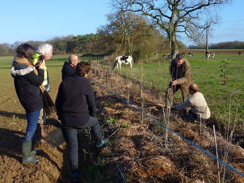 2018-12-17_Formation à la plantation_Mérigny PNR Brenne