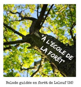 Ecole-de-la-foret--PNRBrenne