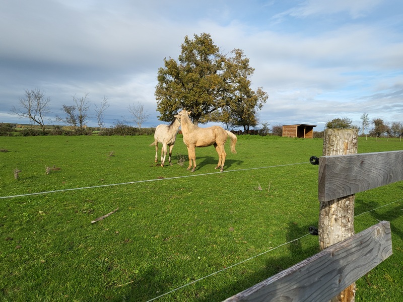 Le Clos de la Fosse aux Loups 7 Stéphanie Presteau