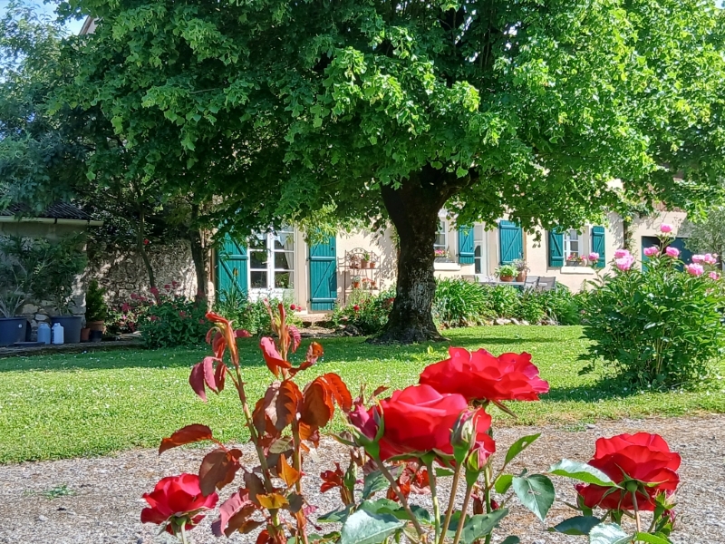 20250512_165852 ©OdileGuizard