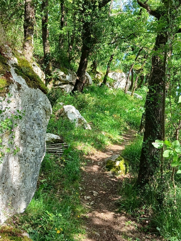 20250512_170751 ©OdileGuizard