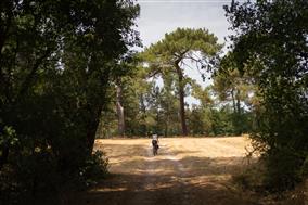 20250713_Route_D_Artagnan-35