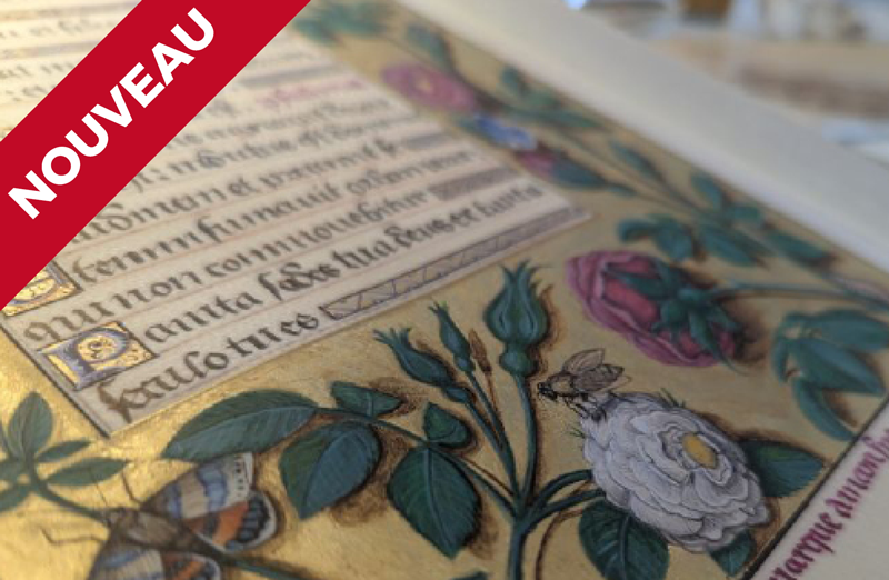 Voyage au coeur de l'enluminure Amélie Hanot