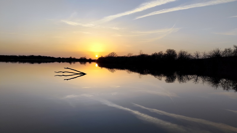 2026-02-25-Etang Benisme -Foucault©FC-web 