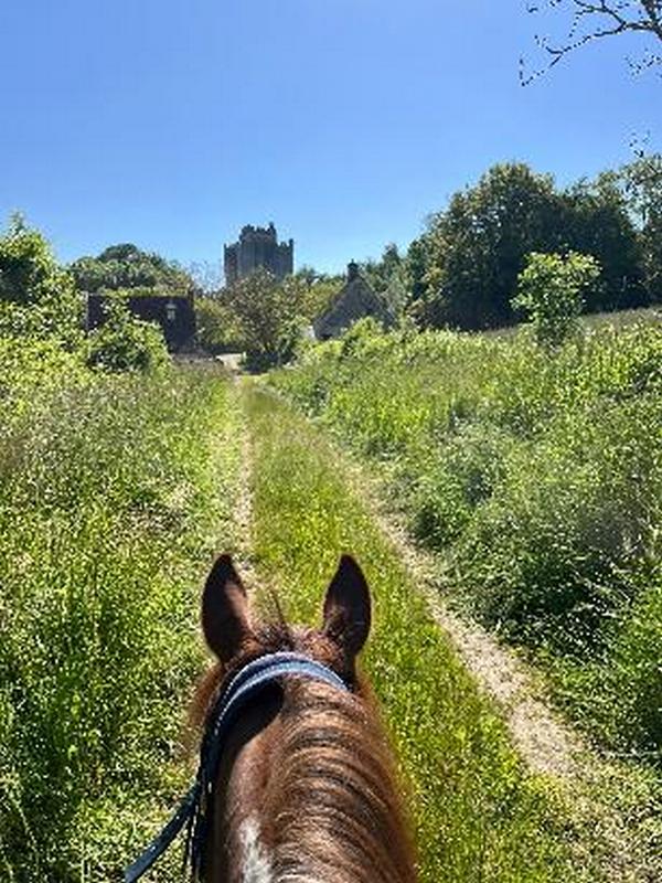 Sur les traces de d'Artagnan Aubéline