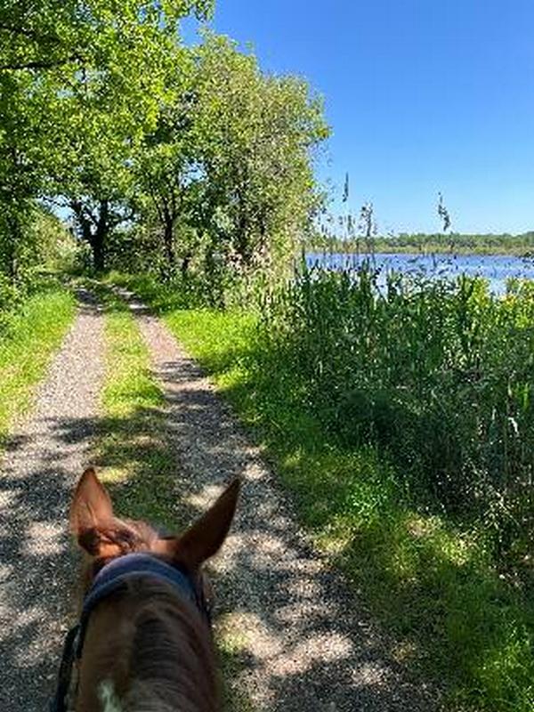 Sur les traces de d'Artagnan en Brenne Aubéline