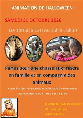 31-10HalloweenDreamsofColorLB