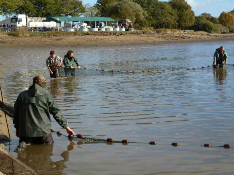 pêche étang de la Rochechevreux ©VLM