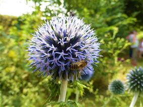 jardin destination brenne