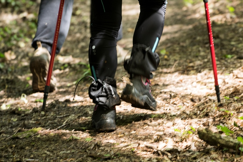 Chemin de randonnée sur Azay le Ferron, Château et Parc. Circuit 
