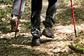CheminderandonnéesurAzayleFerron,ChâteauetParc.Circuit