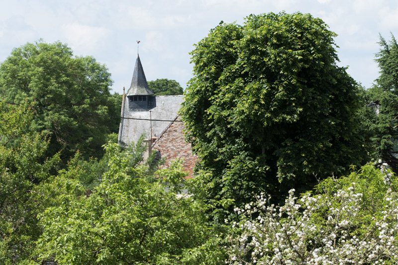 En passant par la commanderie - Vue sur le clocher de l'église © hellio - van ingen
