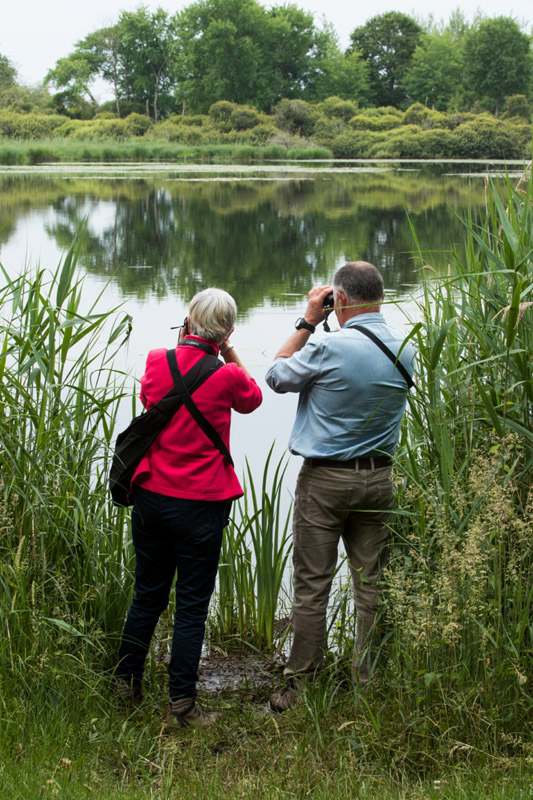 Rencontre avec les paysages de Brenne - Au bord de l'étang © hellio - van ingen
