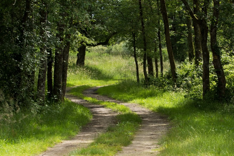 Chemin de randonnée sur Méobecq. Circuit 
