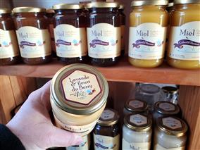 AbeilledeBrennejanv2025mm(3) AbeilledeBrennejanv2025mm(3)