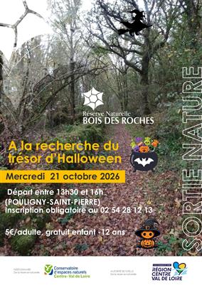 Affiche_Roches__halloween-2026_SGO