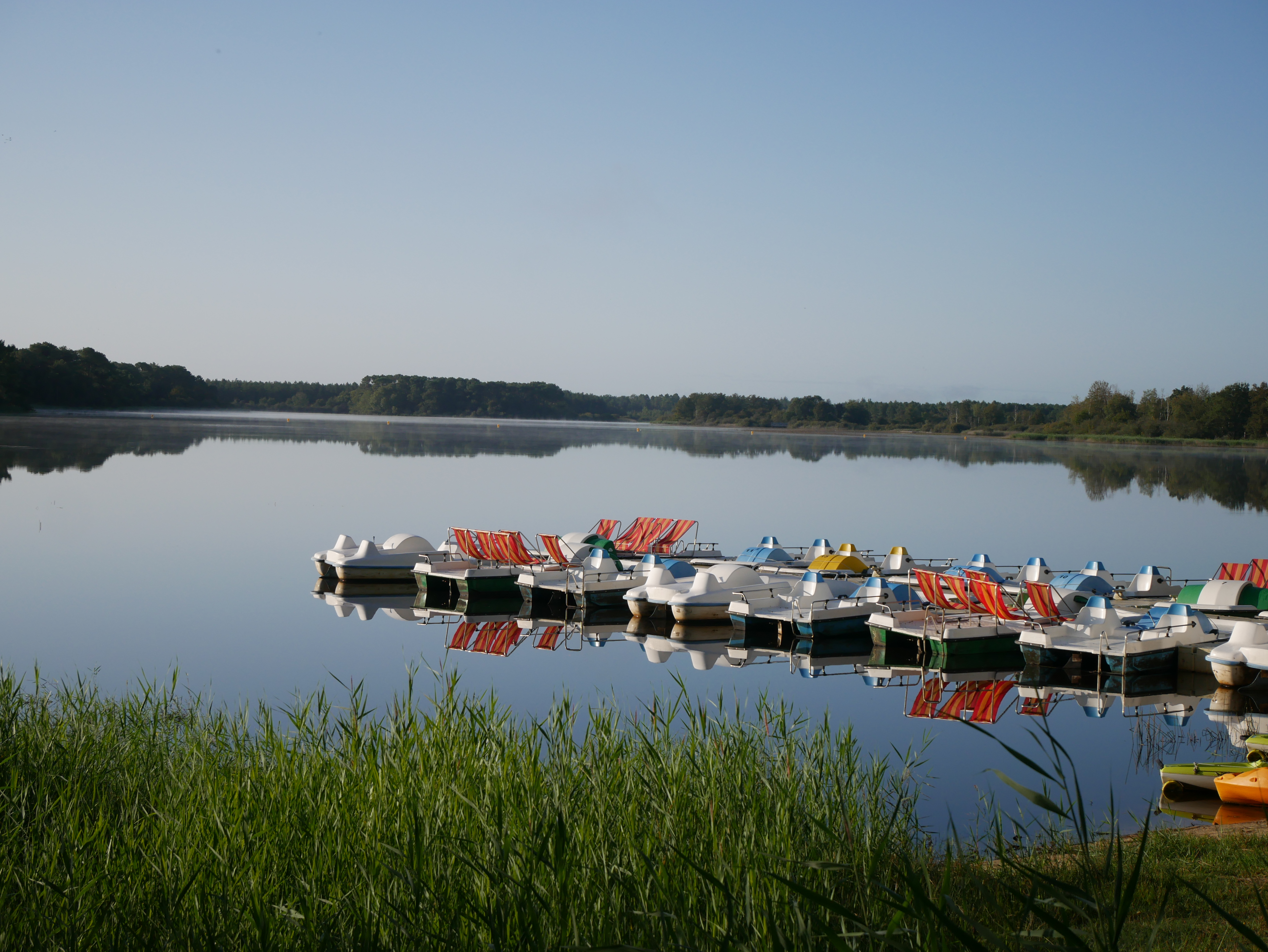 Bellebouche24-08-2024©FA (1) 