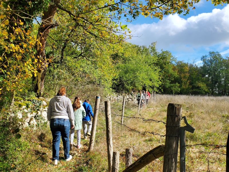 Bois des Roches2 @destinationBrenne