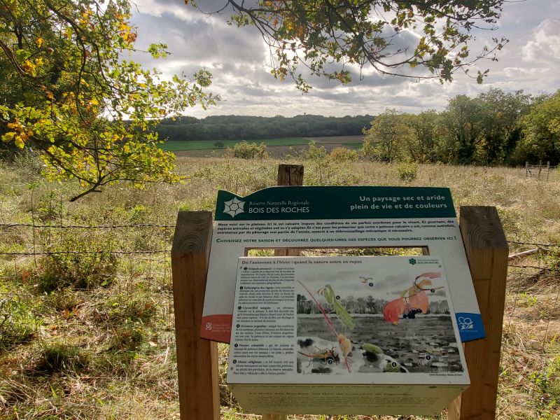 Bois des Roches3 @destinationBrenne