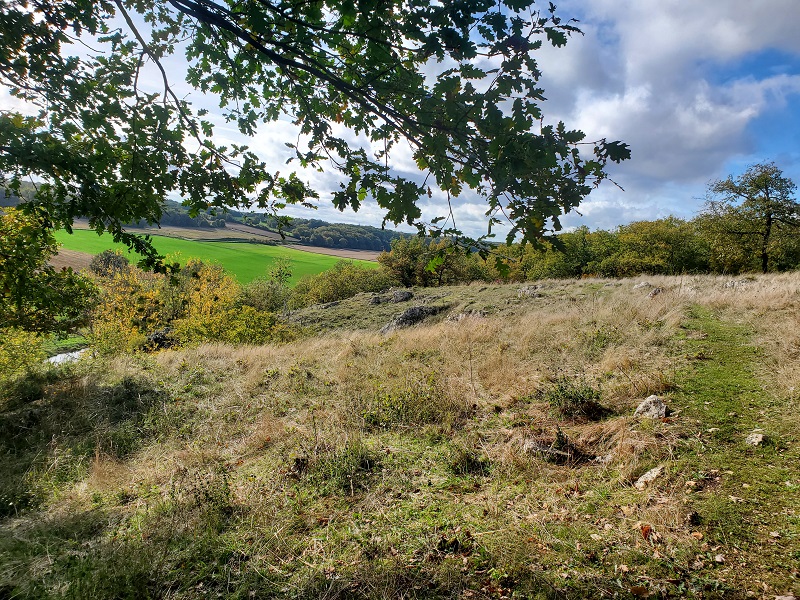 Bois des Roches Pouligny st Pierre Destination Brenne