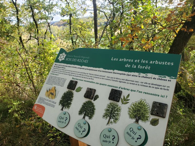 Bois des Roches6 @destinationBrenne