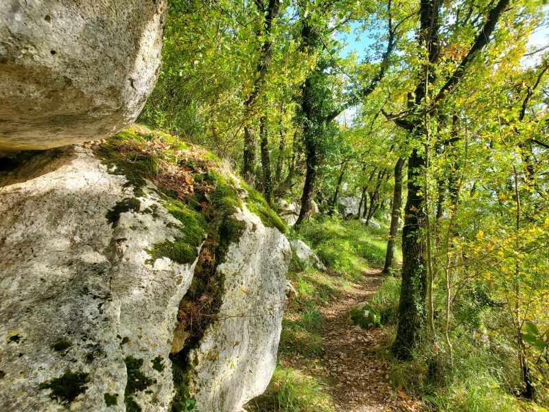 Bois des Roches1 @destinationBrenne