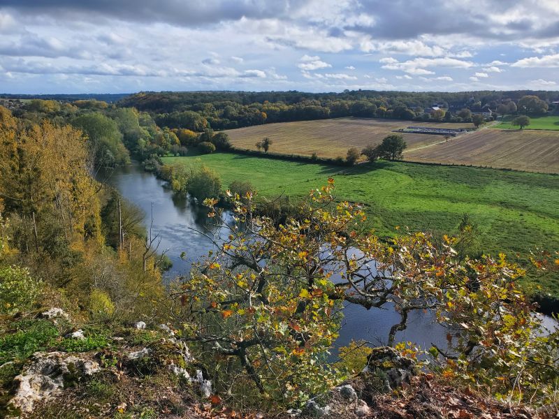 Bois des Roches4 @destinationBrenne