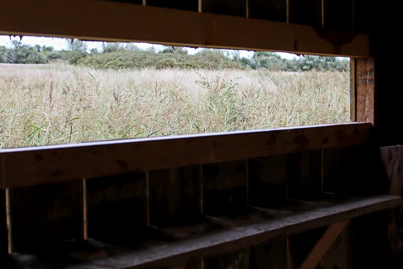 Cabane Brenne 3 