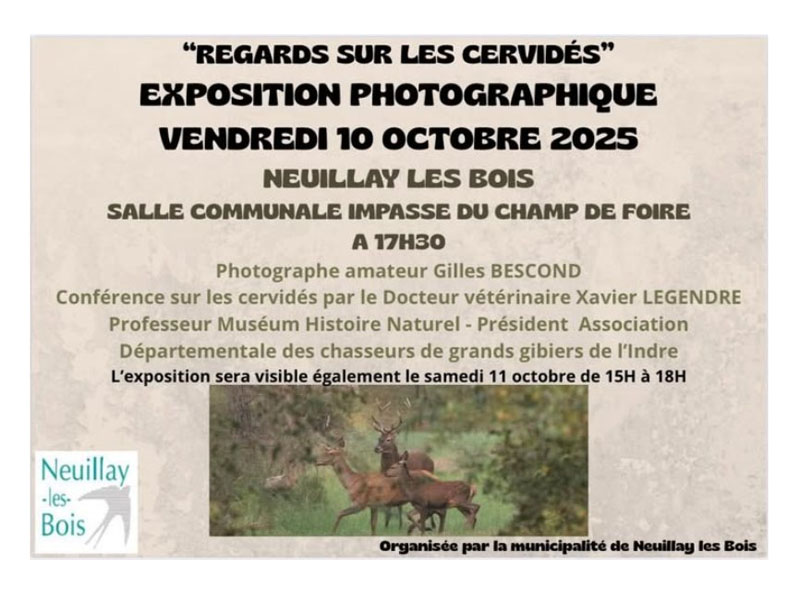 Cervidés Neuillay