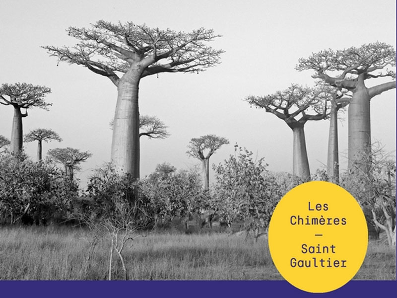 Chimères Chimères