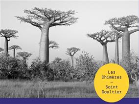 Chimères