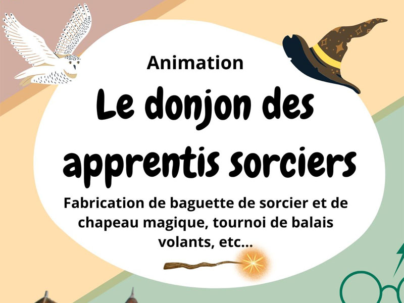 Donjon des apprentis sorciers Mairie du Blanc