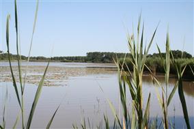 Site naturel de l'étang de Bellebouche ©ADTI
