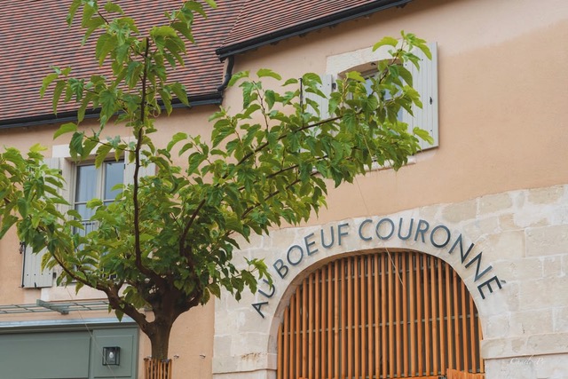 FB_IMG_1756472739539 © Thierry Favier FB_IMG_1756472739539 © Thierry Favier