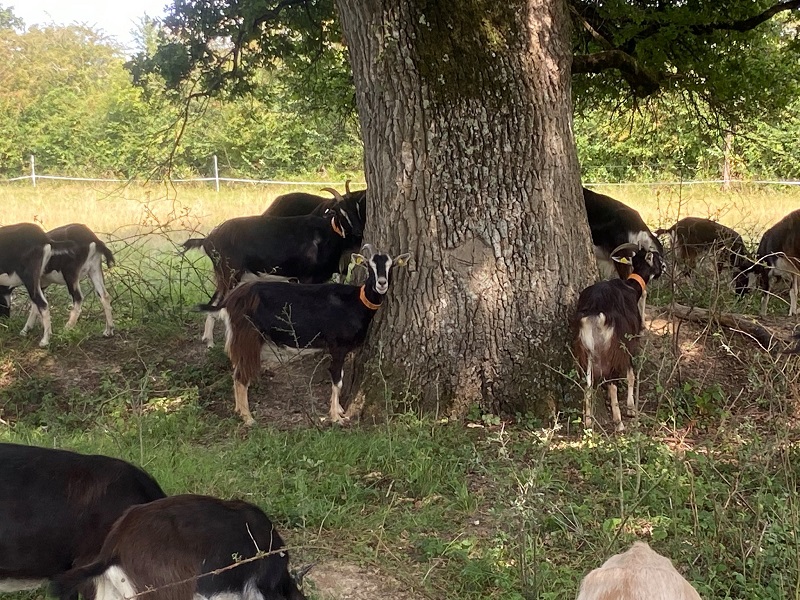Ferme de La Piloterie 4 Ferme de la Piloterie
