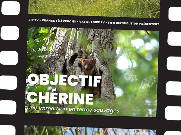 affiche_v07 Chérine