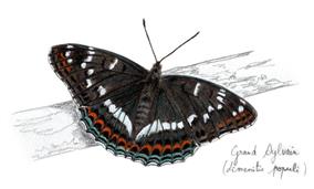 Grand-Sylvain-scaled