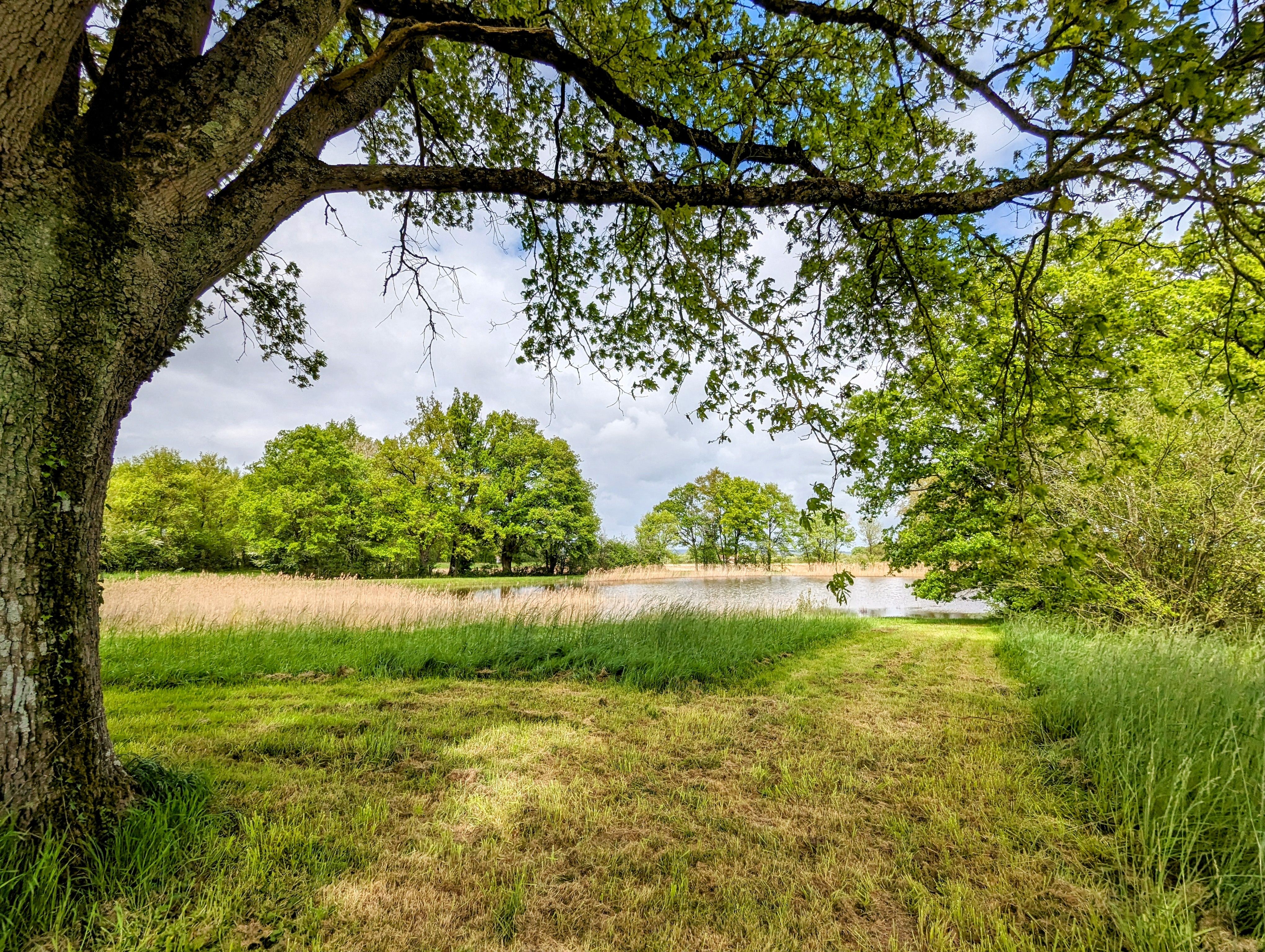 HLOCENBERV500OJI_5 Gîtes de France ® Indre en Berry