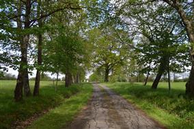 HLOCENBERV50B8IK_9 Gîtes de France ® Indre en Berry