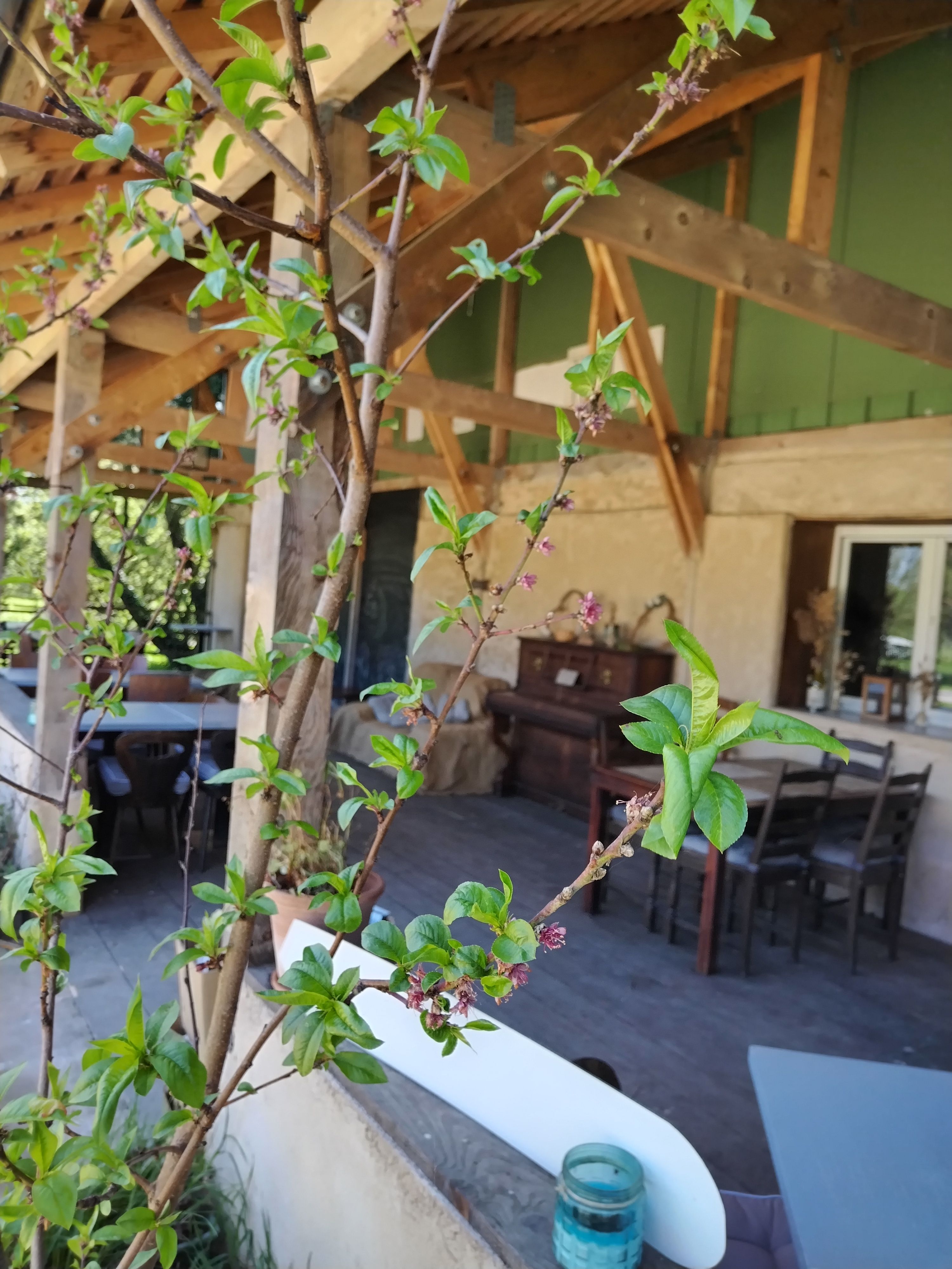 HLOCENBERV50LZYF_2 Gîtes de France ® Indre en Berry