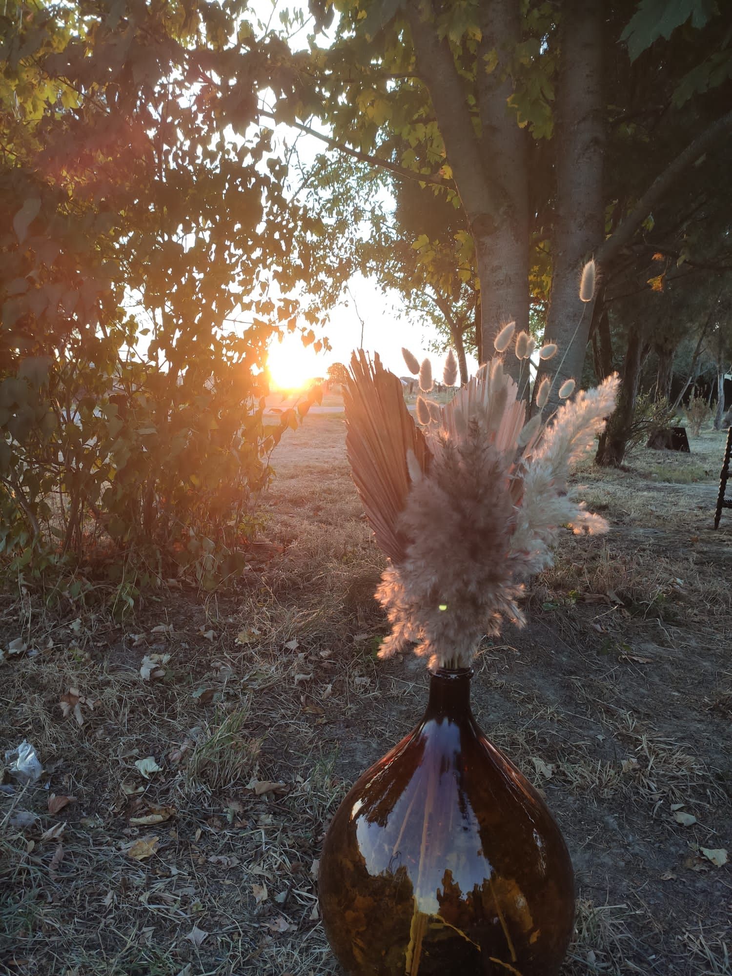 HLOCENBERV50KP9P_5 Gîtes de France ® Indre en Berry