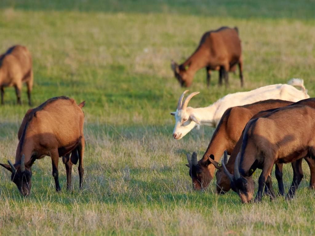 HLOCENBERV50M0GE_8 Gîtes de France ® Indre en Berry