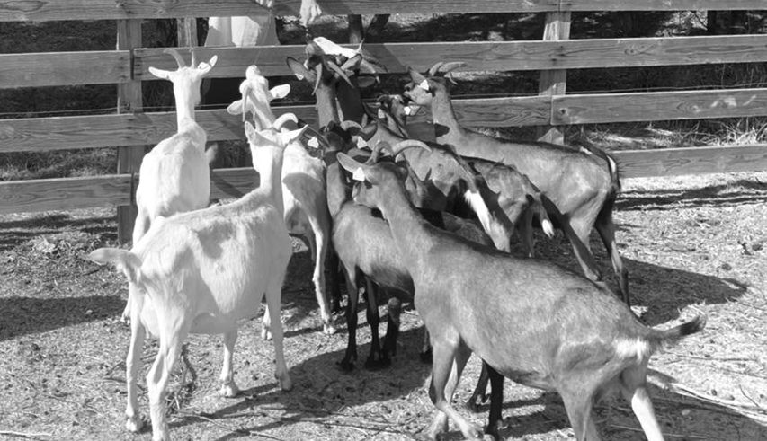 HLOCENBERV50M0GE_5 Gîtes de France ® Indre en Berry