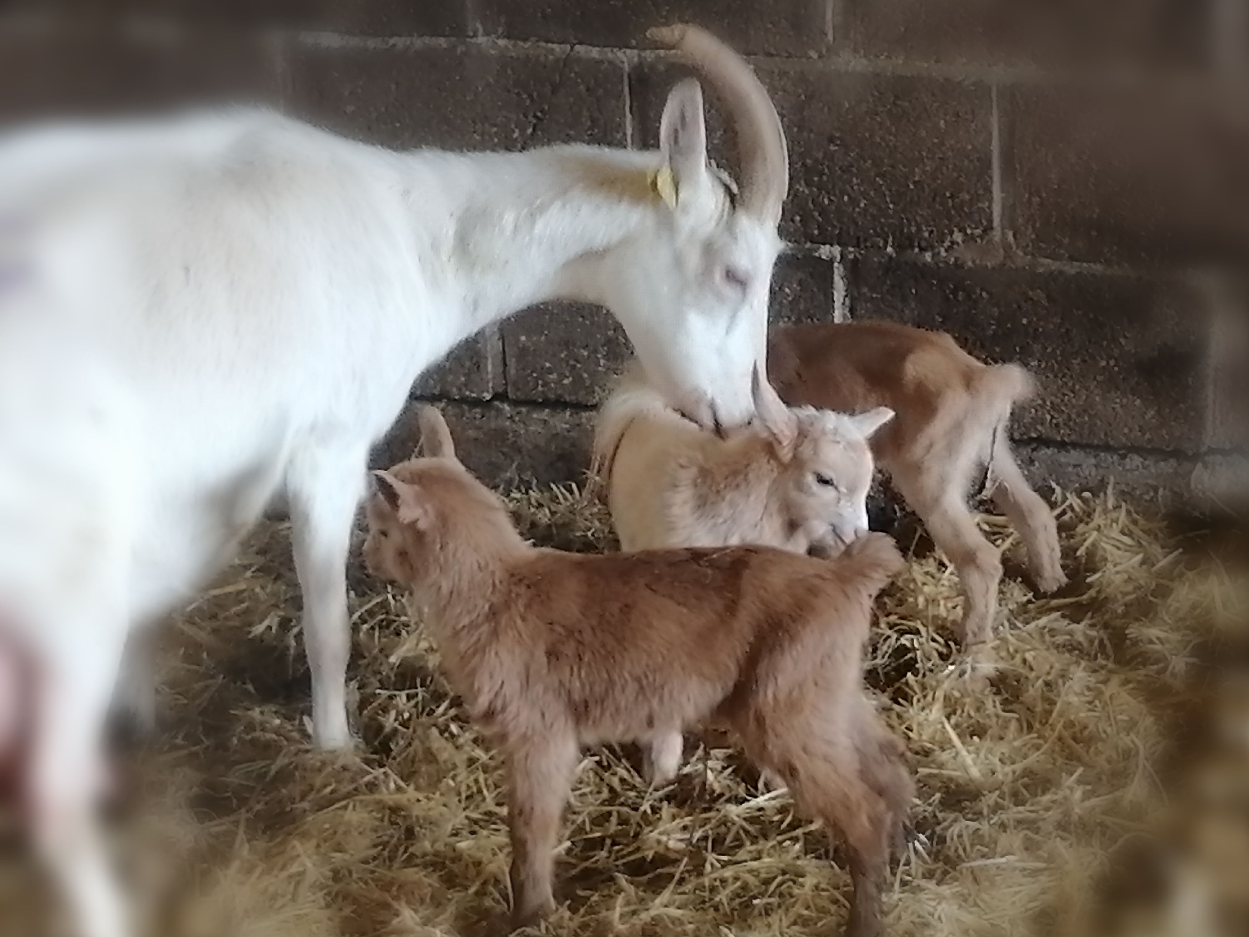 HLOCENBERV50M0GE_3 Gîtes de France ® Indre en Berry