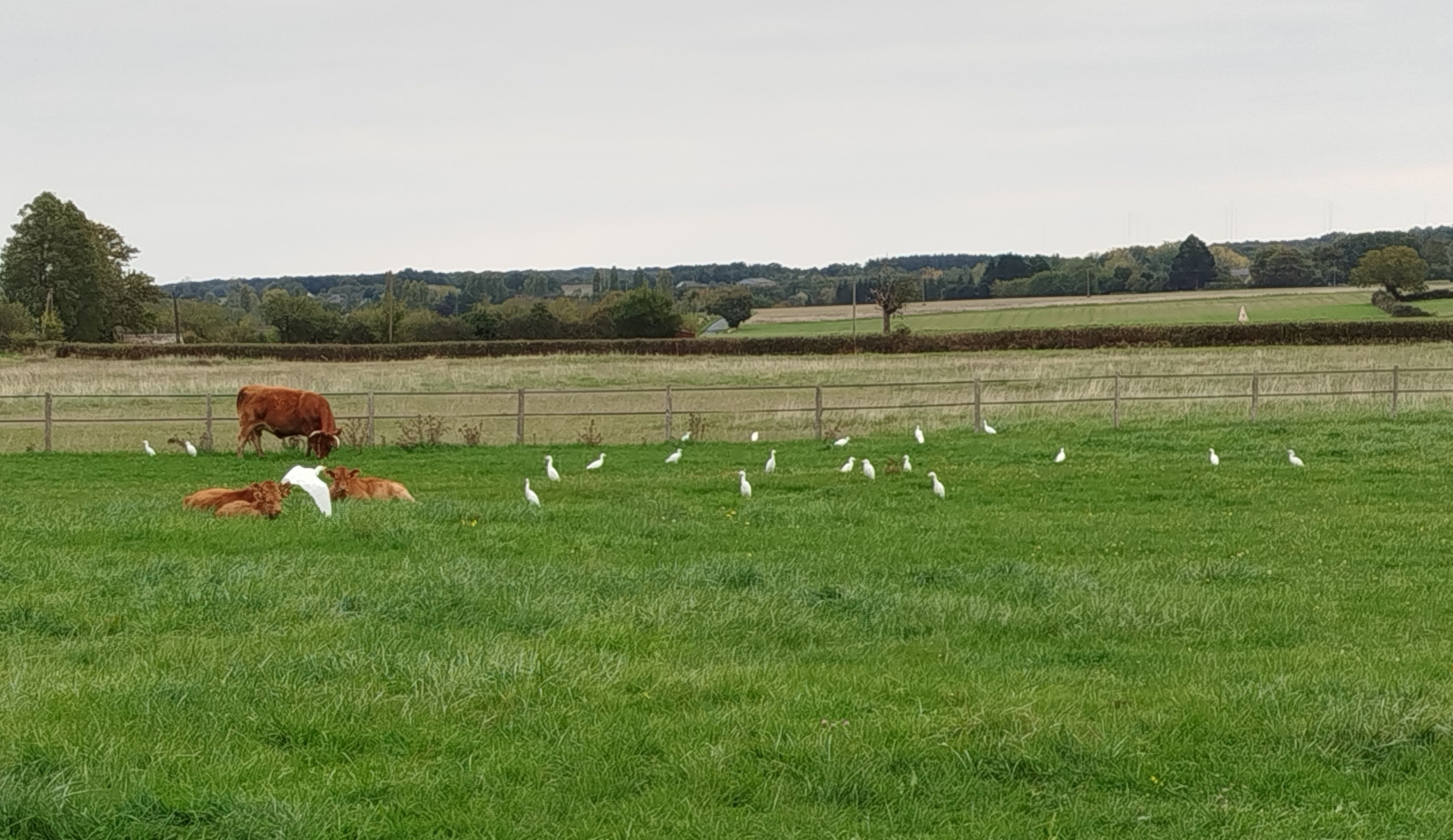 HLOCENBERV50MW91_7 Gîtes de France ® Indre en Berry