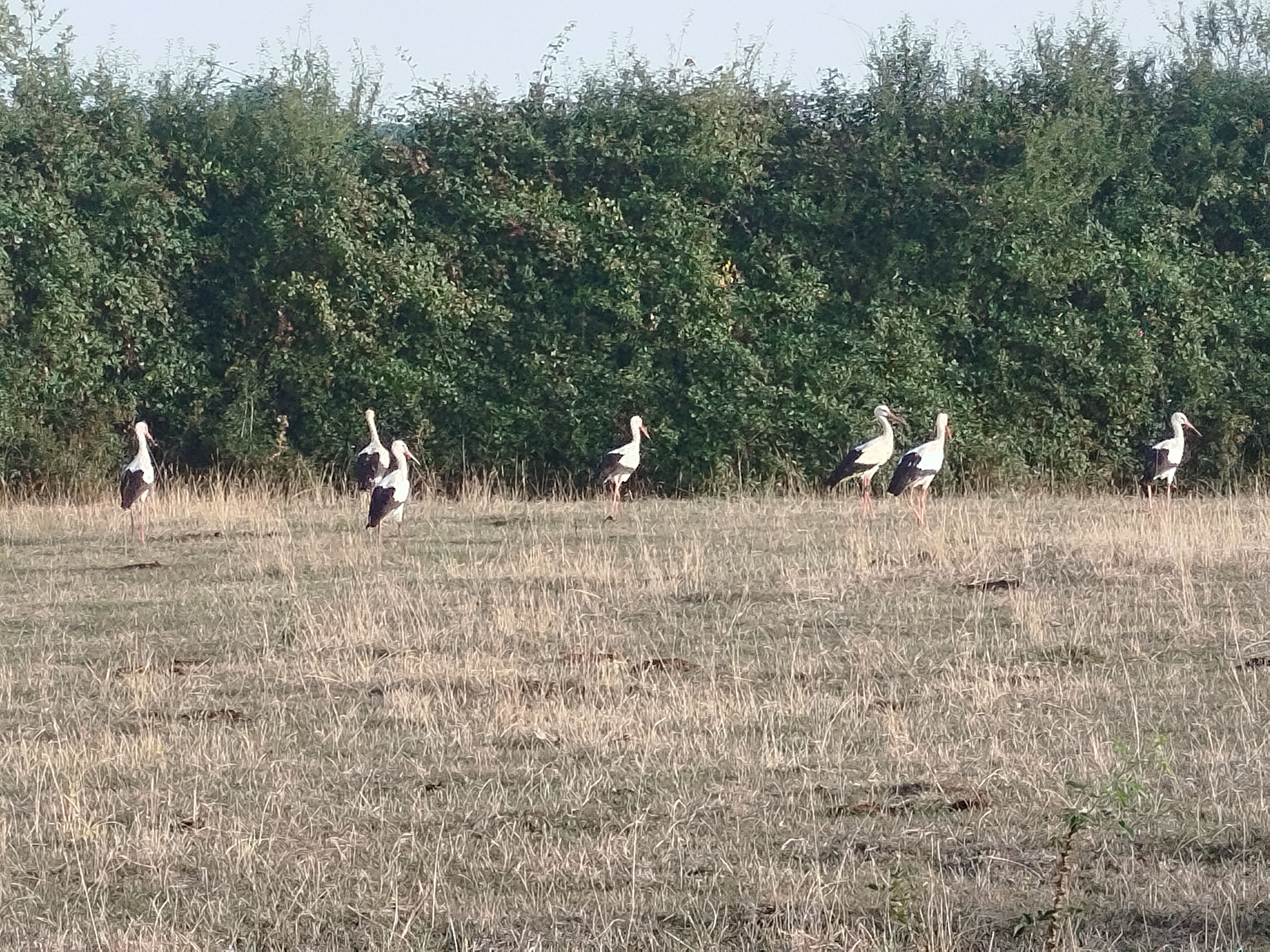 HLOCENBERV50MW91_6 Gîtes de France ® Indre en Berry