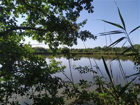 IMG_20230719_101910