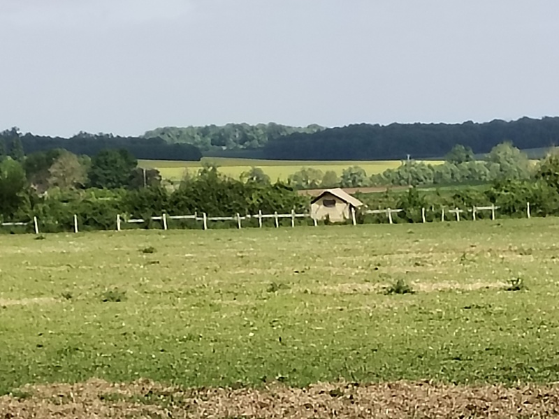 IMG_20250425_160049_800x600 ©fermeducaroire